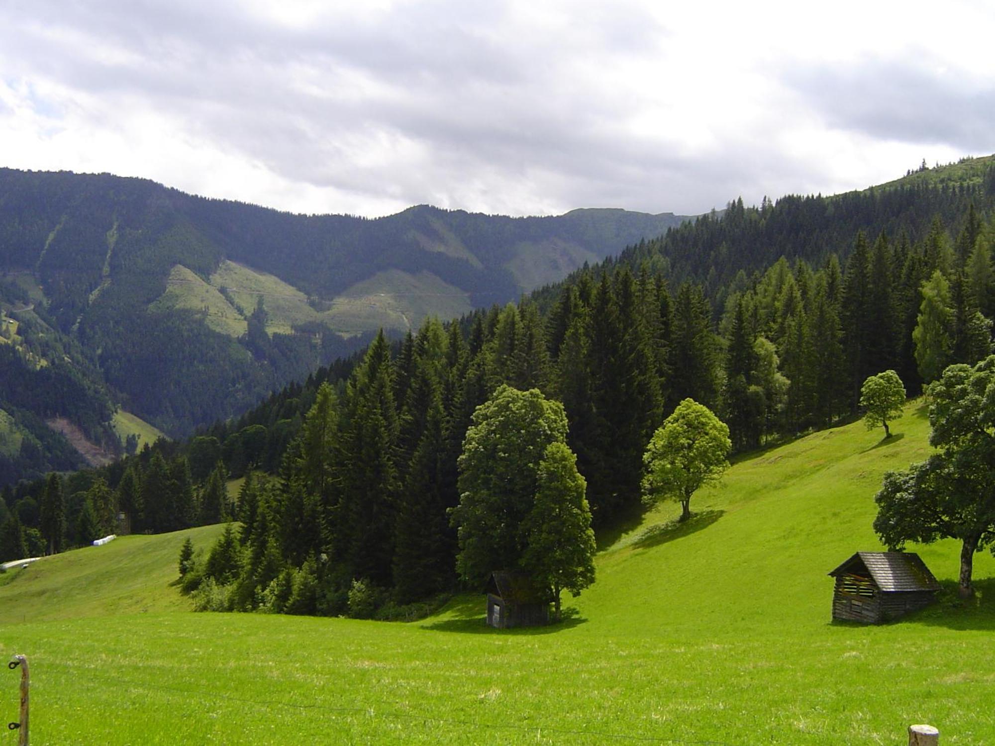 Kirchenbichlerhof Vila Pruggern Exterior foto